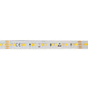 LED Strip SMD 2835 SCCT MP - 5M / 12MM CCT Switch, multipower hvid