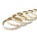 nobil� LED Strip SMD 2835 SCCT MP - 5M / 12MM CCT Switch, multipower hvid