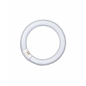 Lysstofr�r L G10q 840 C kold hvid cirkul�r 26mm tube, 32W