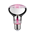 Reflektorp�re R80 GROW GREEN LED R80 E27 6,5W 200lm 1300K 60� CRI >30 