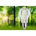 Paulmann Gl�dep�re standard ECO-LINE AGL omskiftelig A60 klar E27 4W 840lm 4000K 360� CRI >80  klar