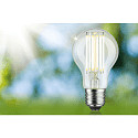 Paulmann Gl�dep�re standard ECO-LINE AGL omskiftelig A60 klar E27 5W 1055lm 3000K 360� CRI >80  klar