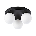 wall and ceiling luminaire GOVE G9 IP44