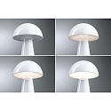 Paulmann Batteri bordlampe ONZO med USB tilslutning, med touch-d�mper IP44, blank, hvid d�mpbar