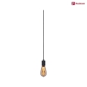Paulmann pendant luminaire NEORDIC TILLA with switch, with plug E27 IP20, graphite black dimmable