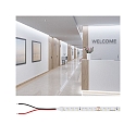 Paulmann LED Strip PRO STRIP GOLD P75