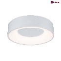 Paulmann ceiling luminaire HOMESPA CASCA LED small, CCT Switch IP44, white dimmable