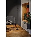 Paulmann floor lamp PURIC PANE I 2 flames, rotatable, with switch, tiltable IP20, black dimmable