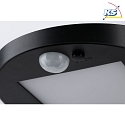 Paulmann solar wall luminaire RYSE with motion detector IP44, anthracite 