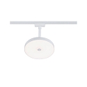 Paulmann 1-faset spot HILDOR URail IP20, mat, hvid d�mpbar