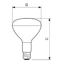 Philips plant light IR CH R125 E27 dimmable