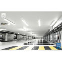 Philips LED r�r T8 MASTER LEDTUBE  T8 HO 600MM 7.6W 830 drejelig, omskiftelig mat G13 7,6W 1090lm 3000K 160� CRI >80  satin