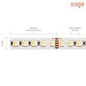 SIGOR LED Strip RGB+W LED, 22W/m, RGB/2700K, 5m, 192 LED/m, IP20, 24V, 1853lm, Ra90