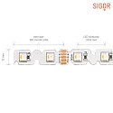 SIGOR LED Strip RGB/W S-SHAPE LED, 14,4W/m, RGB/2700K, 5m, 48 LED/m, IP20, 24V, 868lm, Ra80