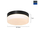 Steinhauer Wall and ceiling luminaire CEILING AND WALL Bathroom luminaire, 1 flame, glass 18 cm, silver