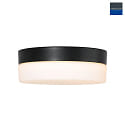 Steinhauer Wall and ceiling luminaire CEILING AND WALL Bathroom luminaire, 1 flame, glass 24 cm, silver