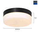 Steinhauer Wall and ceiling luminaire CEILING AND WALL Bathroom luminaire, 1 flame, glass 30 cm, silver