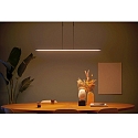 Steinhauer Steinhauer Pendant luminaire ZELENA LED, 3 flames, black