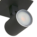 Steinhauer Steinhauer Spot POINT NOIRS LED, 1-flamme, GU10, sort
