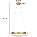Steinhauer pendant luminaire RINGLUX IP20, gold dimmable