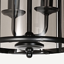 Steinhauer pendant luminaire PIMPERNEL 2 flames E14 IP20, black dimmable