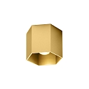 Loftlampe HEXO CEILING SURF 1.0 DALI styrbar IP20, guld d�mpbar