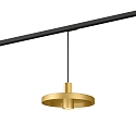 1-faset pendul ODREY ON TRACK 1.2 inkl. 1-faset adapter GU10 IP20, guld