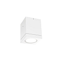 Outdoor LED Ceiling luminaire TUBE 1.0, IP65, 8W 3000K 38�, CRi >90, dimmable, white