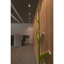 SLV Loftlampe TRILEDO CL, GU10 QPAR51, 30° svinge, cylinder, hvid