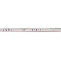 SLV LED Strip GRAZIA IP FLEXSTRIP, 48W, 24V, 700lm/m, IP54, 3000K