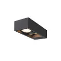 LED Udendørslampe ESKINA FRAME WL DOUBLE LED Væglampe, CCT switch, 3000/4000K, 1100/1200lm, IP65, antracit