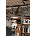 LED 3-faset spot NUMINOS® XL PHASE, 36W, 3000K, 24°, sort