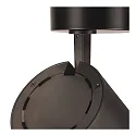 SLV LED Loftlampe NUMINOS® SPOT DALI XL, 36W, 4000K, 36°, sort
