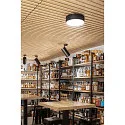 SLV LED Loftlampe NUMINOS® SPOT DALI XL, 36W, 4000K, 36°, sort