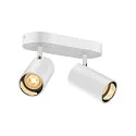 SLV wall and ceiling luminaire ASTO TUBE CW DOUBLE 2 flames, long, cardanic swivelling GU10 IP20, white dimmable