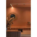 track spot IN-LINE 22 TRACK 48V DALI controllable IP20, black dimmable