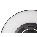 SLV Udendørs stativlampe I-RING rund, omskiftelig, med diffuser, kardanisk drejning IP65, antracit 