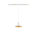 SLV Lampeskærm LALU® PLATE 15 MIX&MATCH, guld, hvid