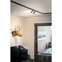SLV Skinne spot GRIP! S 48V DALI DTW svingbar, til VDU-arbejdsstation, DALI styrbar, Dim-To-Warm IP20, guld mat dæmpbar