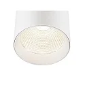 SLV 3-phase luminaire TRACKSPOT C 17 36° adjustable, switchable IP20, white, lacquered 