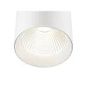 SLV 3-phase luminaire TRACKSPOT C 17 50° adjustable, switchable IP20, white, lacquered 
