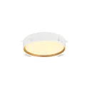SLV Loftlampe DECONA 30 CL rund, egnet til VDU-arbejdsstationer IP44, guld, sort, lakeret dæmpbar