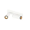 Loftlampe GRIP!M DOUBLE IP20, sort, hvid, lakeret dæmpbar