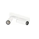 Loftlampe GRIP!M DOUBLE IP20, sort, hvid, lakeret dæmpbar