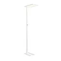 SLV Standerlampe WORKLIGHT EASY FL med afbryder, egnet til VDU-arbejdsstationer, hvid dæmpbar