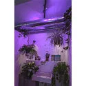 SLV Væglampe / Loftlampe ENOLA_B SINGLE SPOT, 1x GU10 QPAR51 maks. 50W, roterbar + drejelig, aluminium, sort
