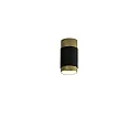 Loftlampe LUX 3989/6 IP20, guld, sort blank