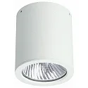 Udendørs Loftlampe Type nr. 2130, IP44, Ø 11cm / H 12.5cm, E27 PAR30 maks. 75W, stiv, hvid