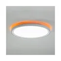 Brumberg Loftlampe SUNNY MIDI / 44CM DALI-2 DALI styrbar, CCT Switch, direkte / indirekte IP20, hvid mat dæmpbar