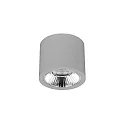Downlight APOLLO MAXI rund, omskiftelig, facetteret IP20, pulverlakeret, sølv 